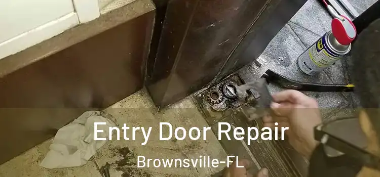  Entry Door Repair Brownsville-FL
