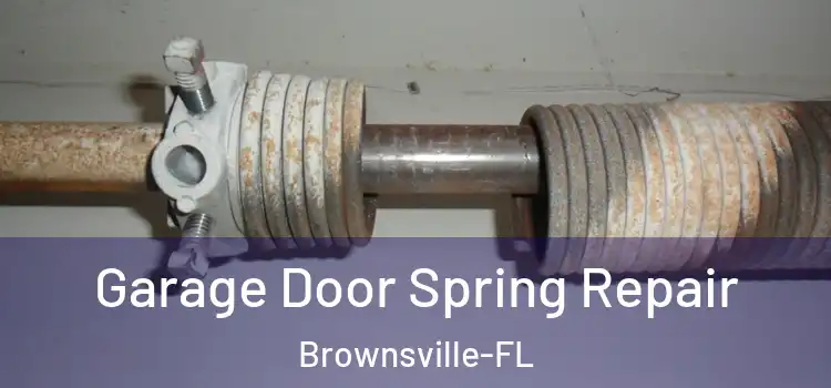  Garage Door Spring Repair Brownsville-FL