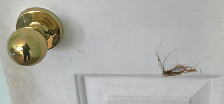 interior door hole repair Brownsville