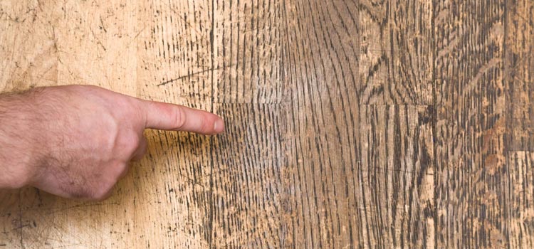 Wood Door Scratch Repair in Brownsville