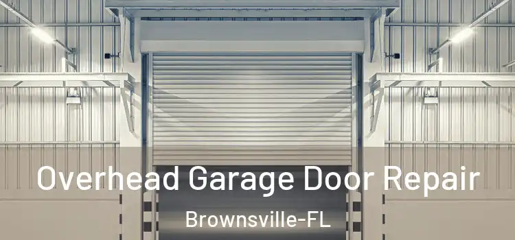  Overhead Garage Door Repair Brownsville-FL